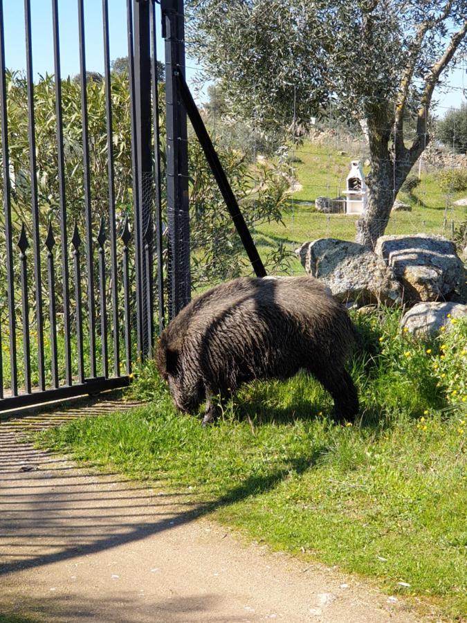 El Huesped Del Sevillano Ar Lagartera Zewnętrze zdjęcie